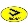 1579521885250x289-bicap